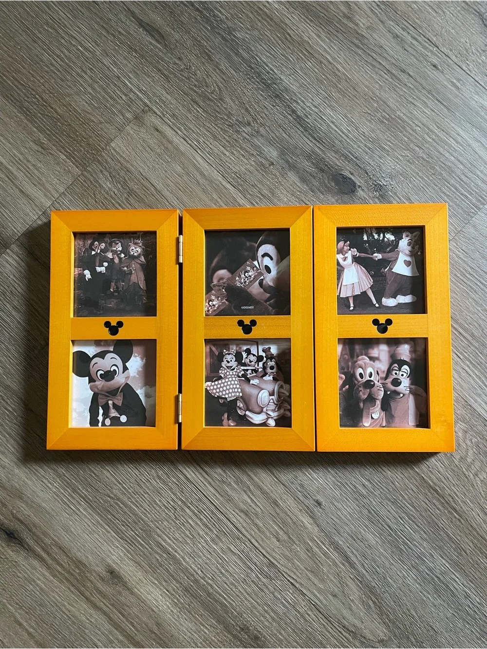Disney photo frame